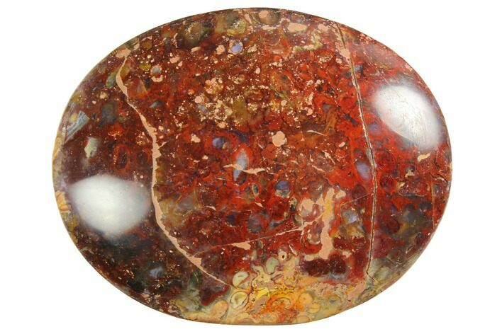 1.9" Petrified Palm Root Pocket Stones - Red Color - Photo 1